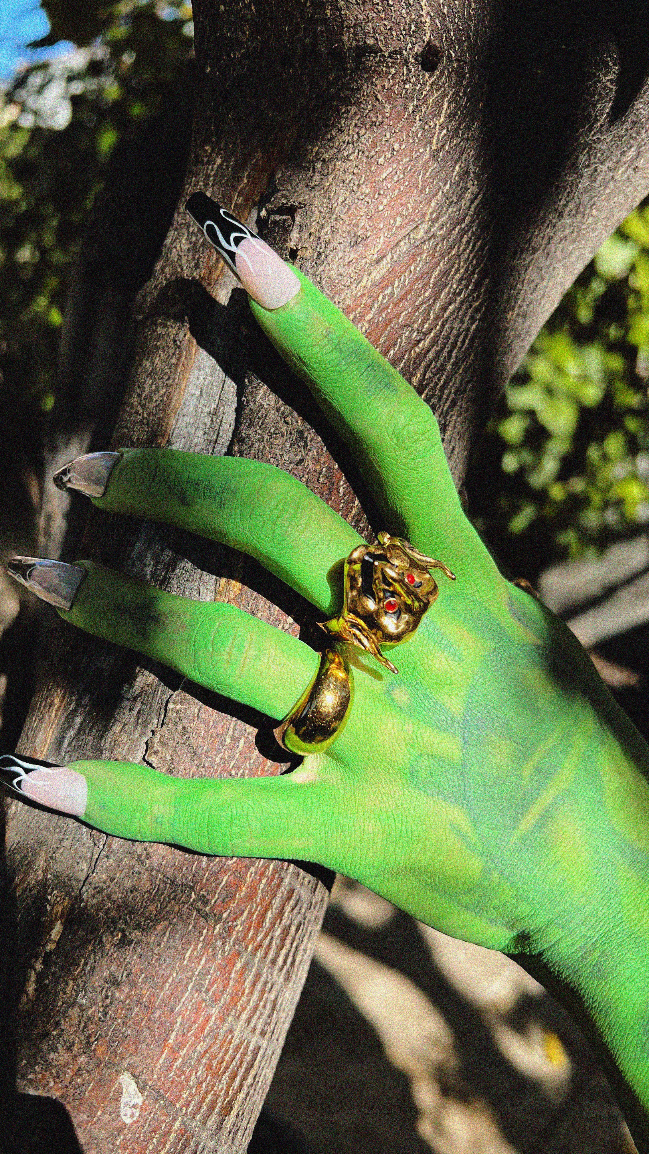 The Goblin Ring - Image 6